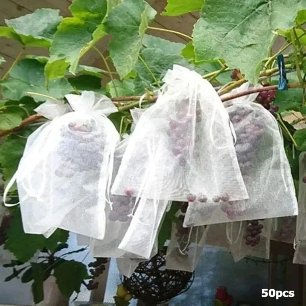 50pcs Fruit Protection Bags Anti-Bird Garden Netting Bags Strawberry Grapes Mesh Bag Plante Vegetable Netting Cover Garden Tool - Image 5