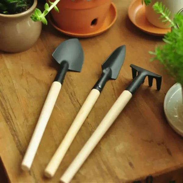 Plant Flower Shovel Household Succulent Planting Gardening Loose Soil Tool Mini Stainless Steel Three-Piece Set Potted Planter - Image 2