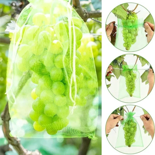 50pcs Fruit Protection Bags Anti-Bird Garden Netting Bags Strawberry Grapes Mesh Bag Plante Vegetable Netting Cover Garden Tool - Image 3